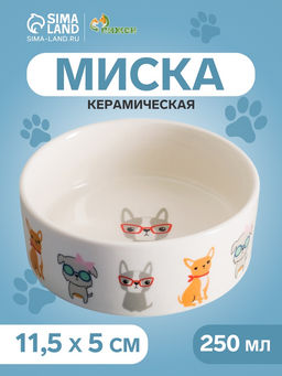 Миска керамическая Важный пес 250 мл - 11.511.55 см, белая