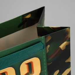 Цена за 2 шт. Пакет подарочный ламинированный, упаковка, «С 23 февраля», MS 18×23×10 см