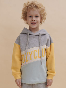 PELICAN, толстовка для мальчиков, Серый