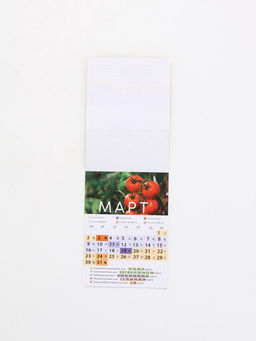 Цена за 2 шт. Календарь 2026 отрывной на магните «Садово-огородный», 9.5×13 см