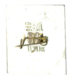 Значок Владимир Волынский