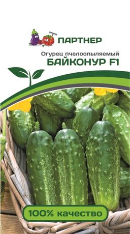 Огурец пчелоопыляемый Байконур