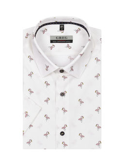 Сорочка мужская короткий рукав GREG 163/201/2239/c/1p