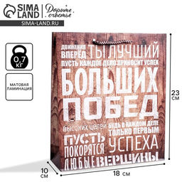 Цена за 2 шт. Пакет подарочный ламинированный, упаковка, «Больших побед», MS 18×23×8 см