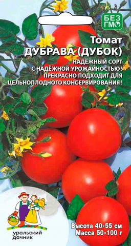 Томат ДУБРАВА Крепкий с надёжной урожайностью!