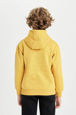 Толстовка оверсайз с капюшоном и принтом для мальчиков - Defacto фото 6