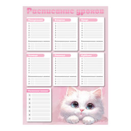 Цена за 2 шт. Расписание уроков А3, арт. 72582/ 50 БЕЛЫЙ КОТ (297х420 мм, материал: мелованный картон 235 г/м?, по