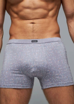 Трусы мужские боксеры Rogers 83142 модал, эластан размеры M, L, XL, 2XL  фото 3