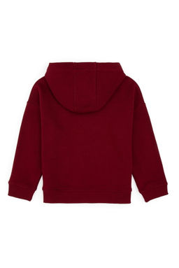 Erkek _ocuk Bordo Kap__onlu Basic Sweatshirt - U.s. polo assn фото 2