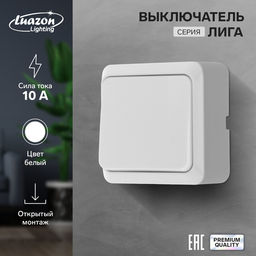 Цена за 2 шт. Выключатель Luazon Lighting "Лига", 10 А, 1 клавиша, накладной, белый