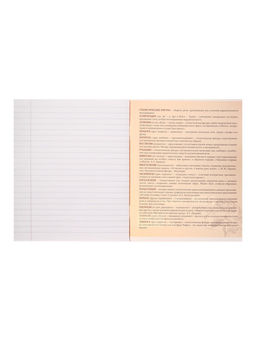 Тетрадь предметная Комикс Аниме 48 листов в линейку Литература, со справочным материалом, обложка мелованный картон, УФ-лак (полный), блок офсет - Calligrata фото 9