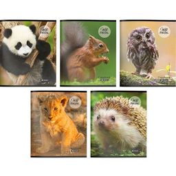 7cd4e56e6ac6a274d7529697e5b5ead5cpy5kf2sakknzosr5