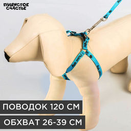 Комплект Дай пять, шлейка 26-39 см, поводок 120х1 см