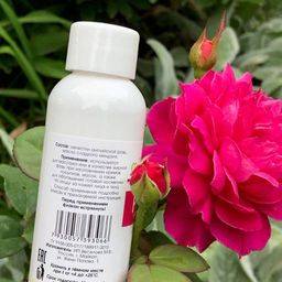 Масло розы (мацерат) - Мариславна фото 3