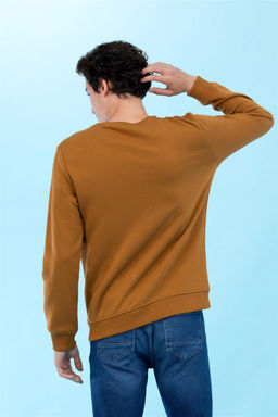 U. S. Polo Assn Базовый свитшот Coconut с круглым вырезом - U.s. polo assn фото 5