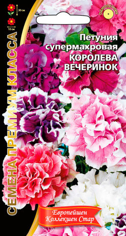 Петуния КОРОЛЕВА ВЕЧЕРИНОК супермахровая