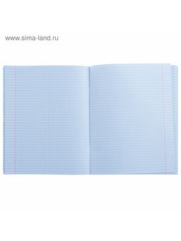 Тетрадь предметная Коллаж, 48 листов в клетку Физика со справочным материалом, обложка мелованный картон, блок офсет - Calligrata фото 6