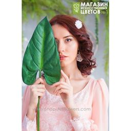 093 Лист каллы - Без тм фото 3