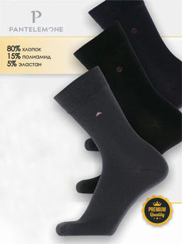 /10 пар. Мужские носки Classic PN-110
