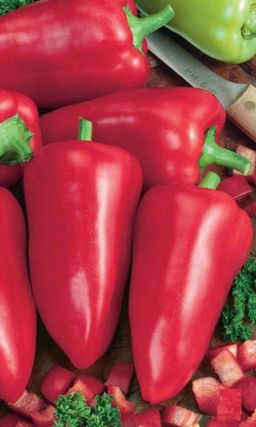 Перец ВИННИ-ПУХ  Невероятно ранний и урожайный!