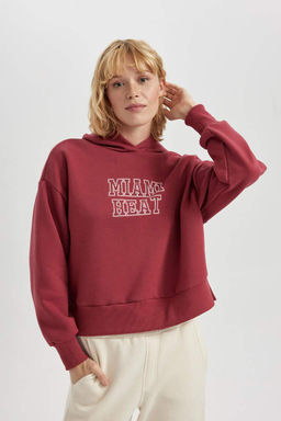 DeFactoFit Толстовка с капюшоном NBA Miami Heat фото 5