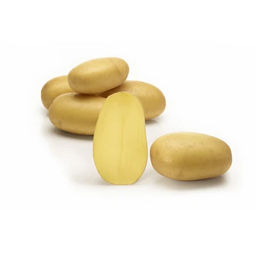 Картофель Королева Анна (супер элита)/ Россия/ 2 кг Картофель Королева Анна (супер элита)/ Россия/ 2 кг