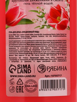 Подарочный набор Самой лучшей, гель для душа и шампунь для волос, 2?250, Чистое счастье  фото 7