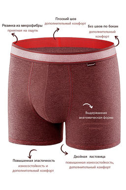 Мужские трусы BB99 Коричневый