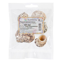 Blumentag / Zlatka DRF-024 Ракушки морские 5 шт. 6.9 см Turbo Chrysostomus