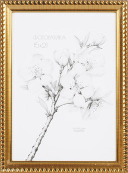 Фоторамка 15х21 / 1702C4-139A1 /уп10