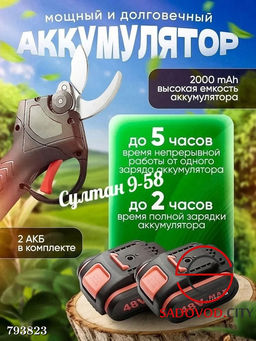 Кусторез аккумуляторный садовый в кейсе (2 аккумулятора)