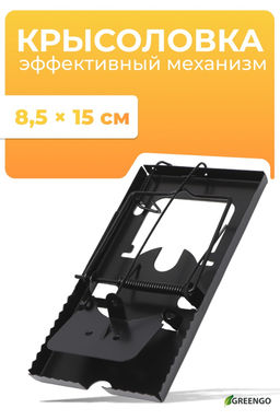 Цена за 2 шт. Крысоловка, 9?16.5?1.5 см, чёрная, Greengo