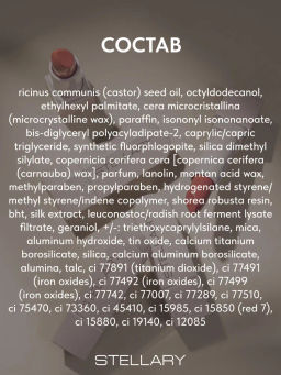 Stellary Помада для губ Устойчивая RICH NUDE тон 22 tropical nude фото 7