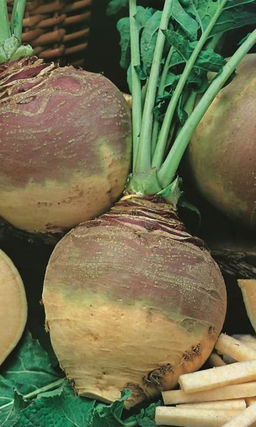 Брюква ГЕРА  Мякоть жёлтая, сочная, нежная, очень вкусная! Большое количество витаминов и минералов! Идеальна для похудения и оздоровления!