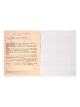 Тетрадь предметная Комикс Аниме 48 листов в линейку Литература, со справочным материалом, обложка мелованный картон, УФ-лак (полный), блок офсет - Calligrata фото 8