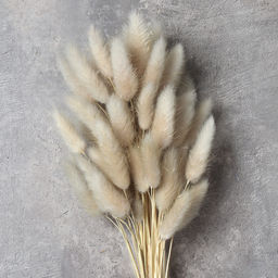 Сухоцвет 60 штук набор 68 см Лагурус / SG-010 /уп 300/бежевый - Галеонтрейд фото 3