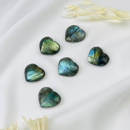 Сердце из Лабрадора