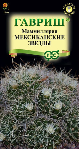 Маммиллярия Камптотриха ( Кактус) Мексиканские звезды 2 шт (г)