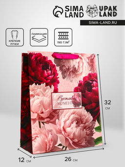 Цена за 2 шт. Пакет подарочный вертикальный Счастливых моментов, 25.5?30?9 см