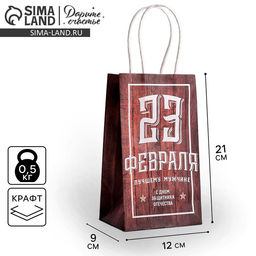 Цена за 2 шт. Пакет подарочный крафт, упаковка, С 23 февраля, 12?21?9 см