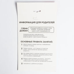 Развивающая игра на липучках «Изучаем мир домашних животных», методика Домана, с обучающими карточками по методике Глена Домана