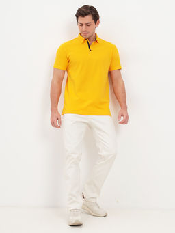 Джемпер мужской с воротником поло короткий рукав GREG G144-PO124T-CTP2023 (желтый)  фото 5