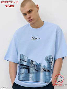 Мужская футболка с рисунком