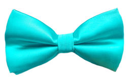 Галстук-бабочка 5463, зеленый