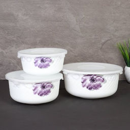 Салатник с крышкой 3 предмета / O3020/3-61008/S /уп 12/ АКЦИЯ - Галеонтрейд фото 4