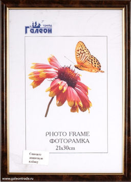Фоторамка 21х30 с акриловым стеклом / 1503B-057X1 /уп10 - ГалеонТрейд фото 2