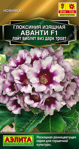 2007A Глоксиния Аванти F1 лайт виолет виз дарк троат 5шт