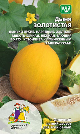Дыня ЗОЛОТИСТАЯ Дыньки яркие, нарядные, жёлтые! Мякоть сочная, нежная, тающая во рту! Устойчива к пониженным температурам!