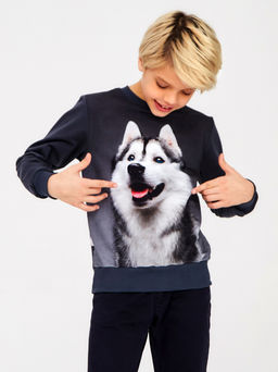 Свитшот " Хаски ",графитовый Свитшот " Хаски ",графитовый