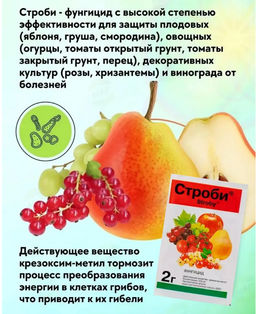 Фунгицид для растений Строби 2 гр. - 1000 деталей фото 3